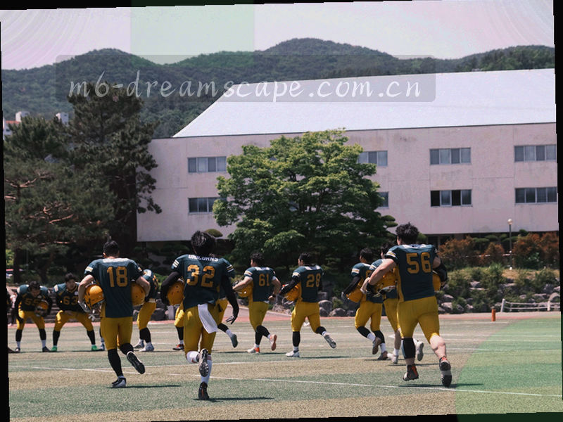 订阅设置面板截图，显示已关注的球队列表与每条提醒开关